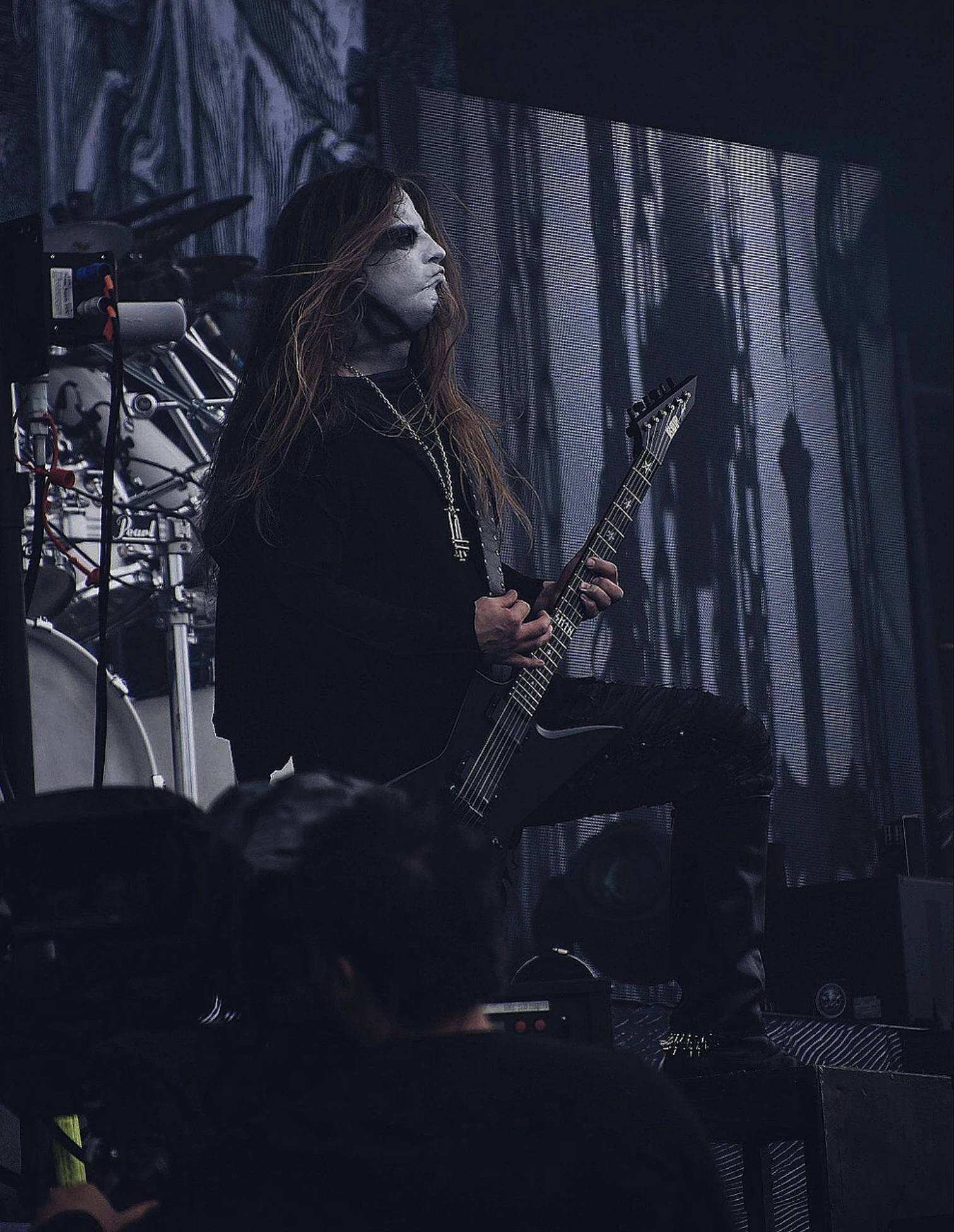 Behemoth, archive photograph 7