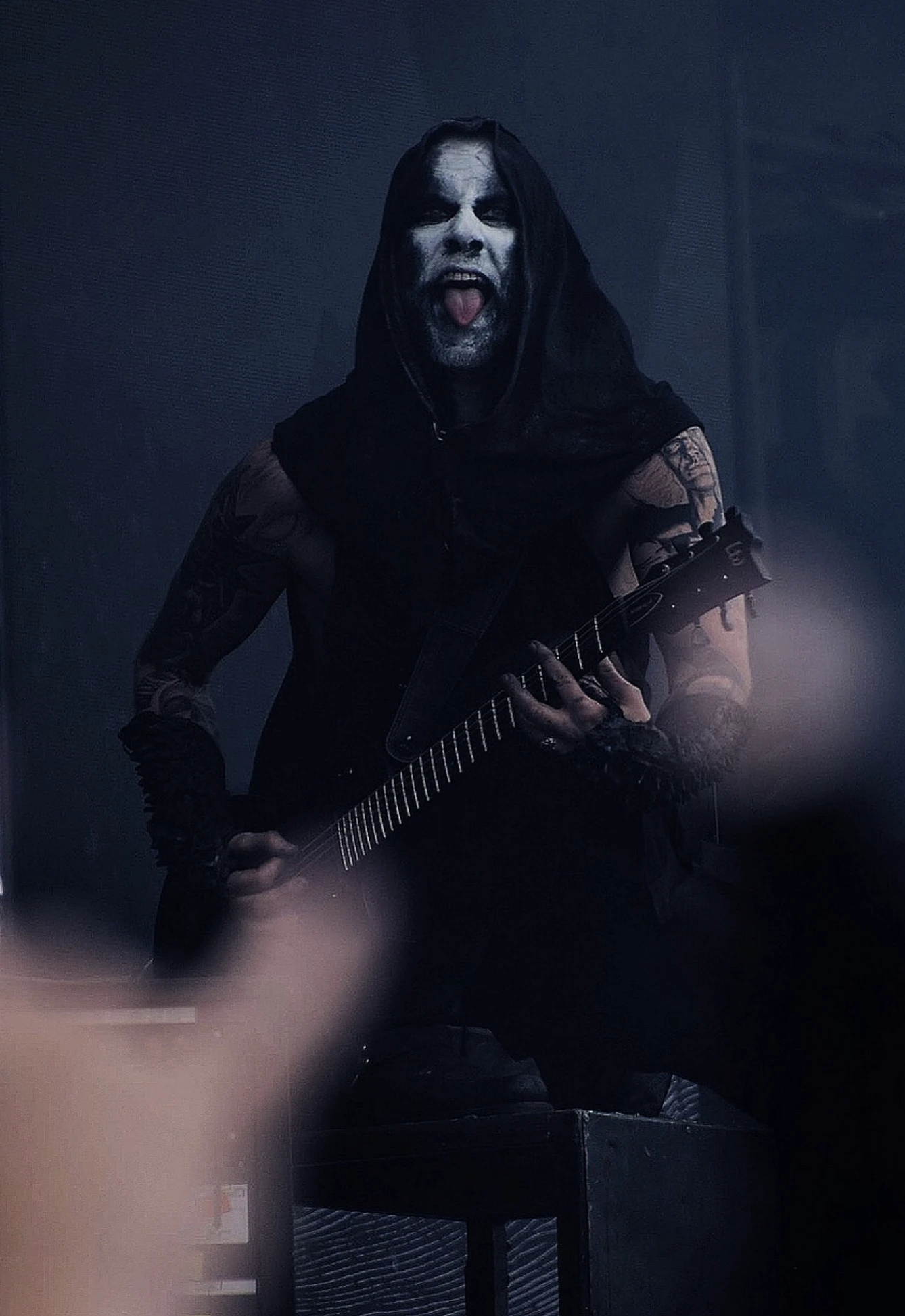 Behemoth, archive photograph 9