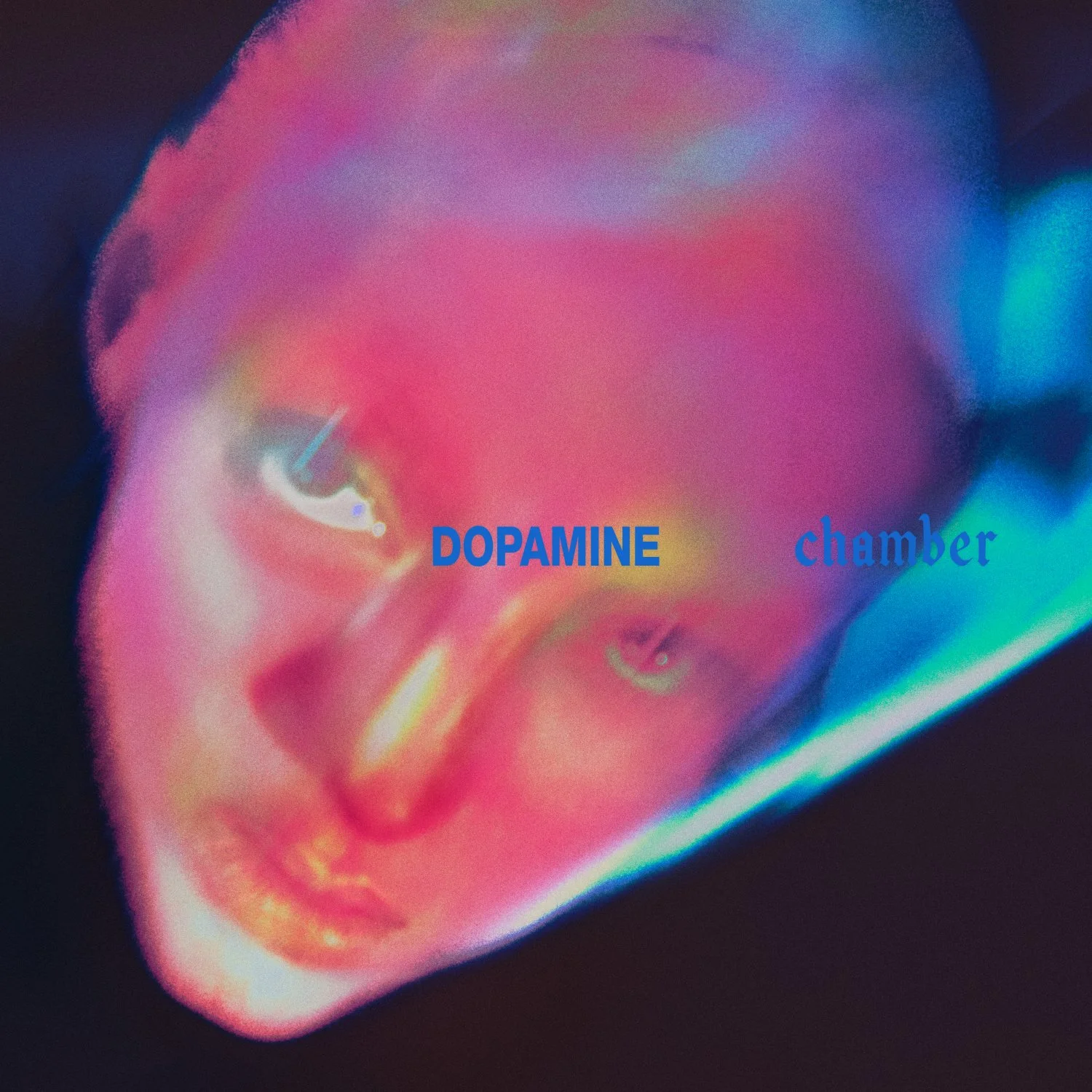 Fontaines D.C. — Dopamine Chamber album artwork