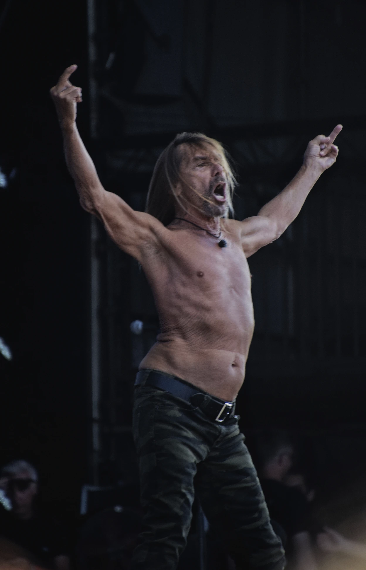 Iggy Pop, archive photograph 2
