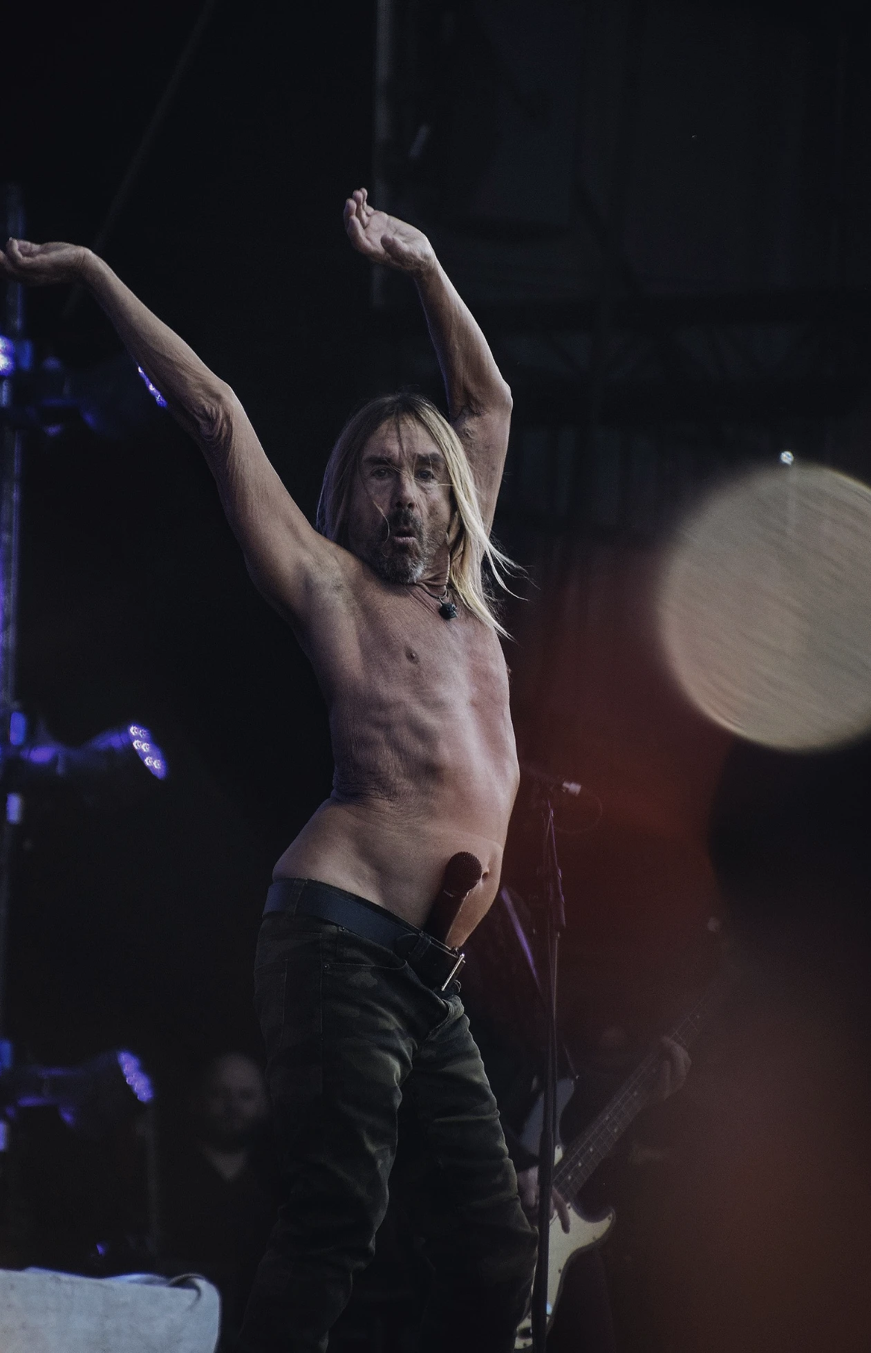 Iggy Pop, archive photograph 6