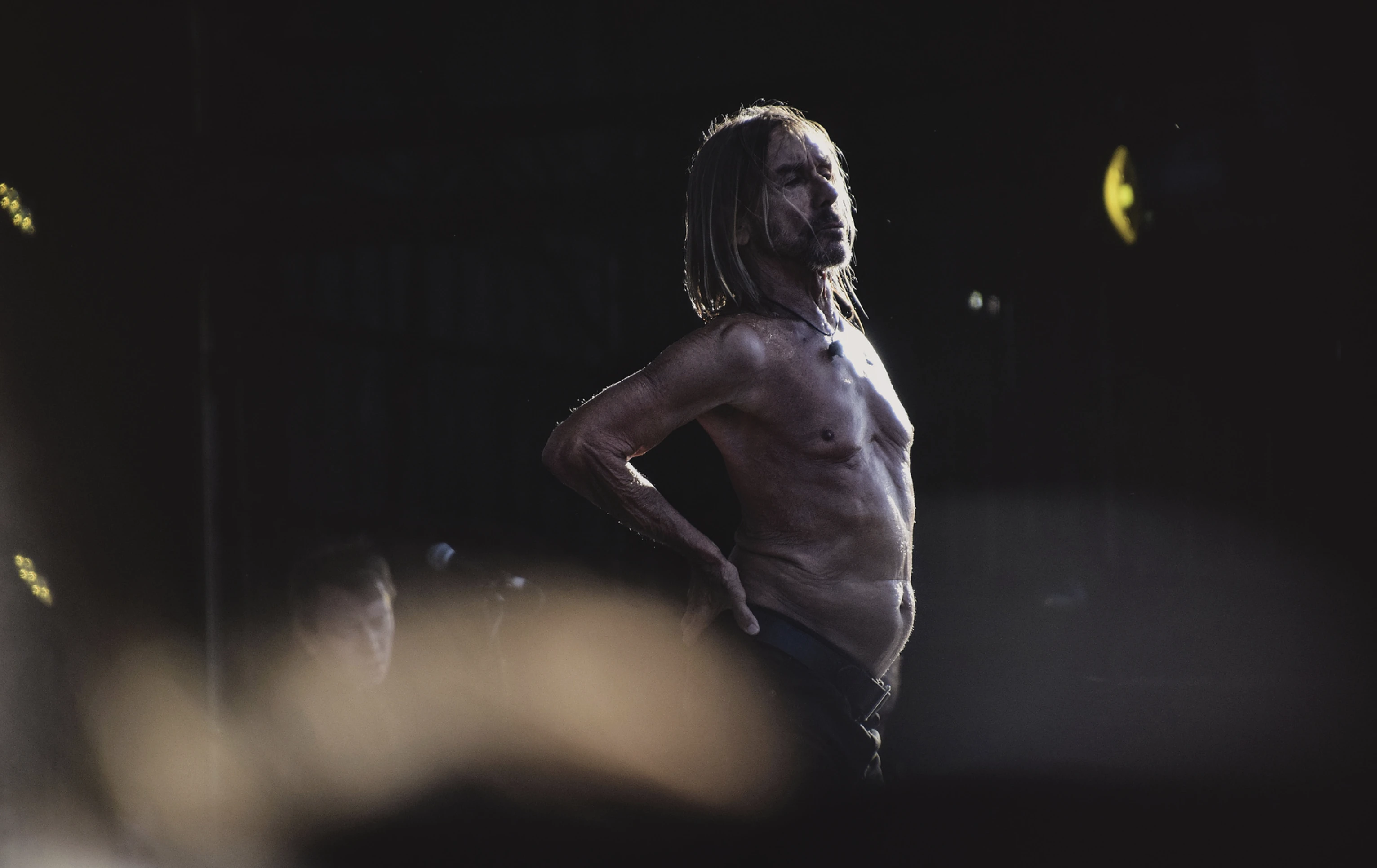 Iggy Pop, archive photograph 7