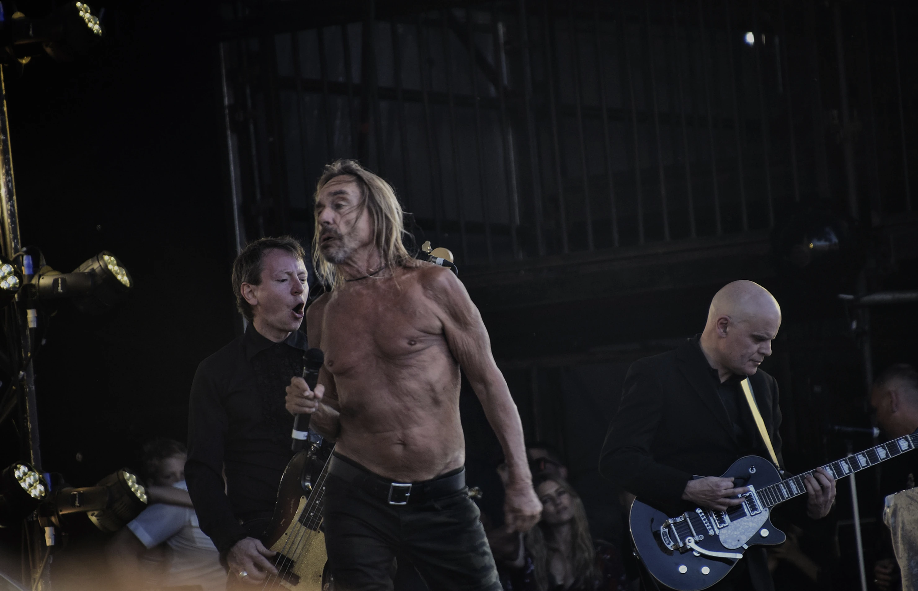 Iggy Pop, archive photograph 9