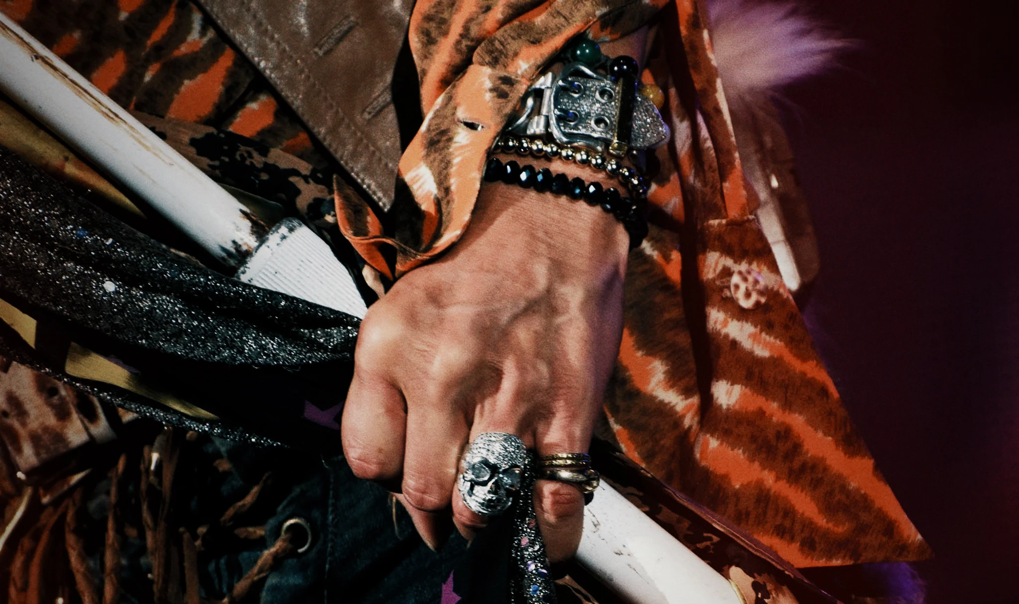 Steven Tyler, archive photograph 1