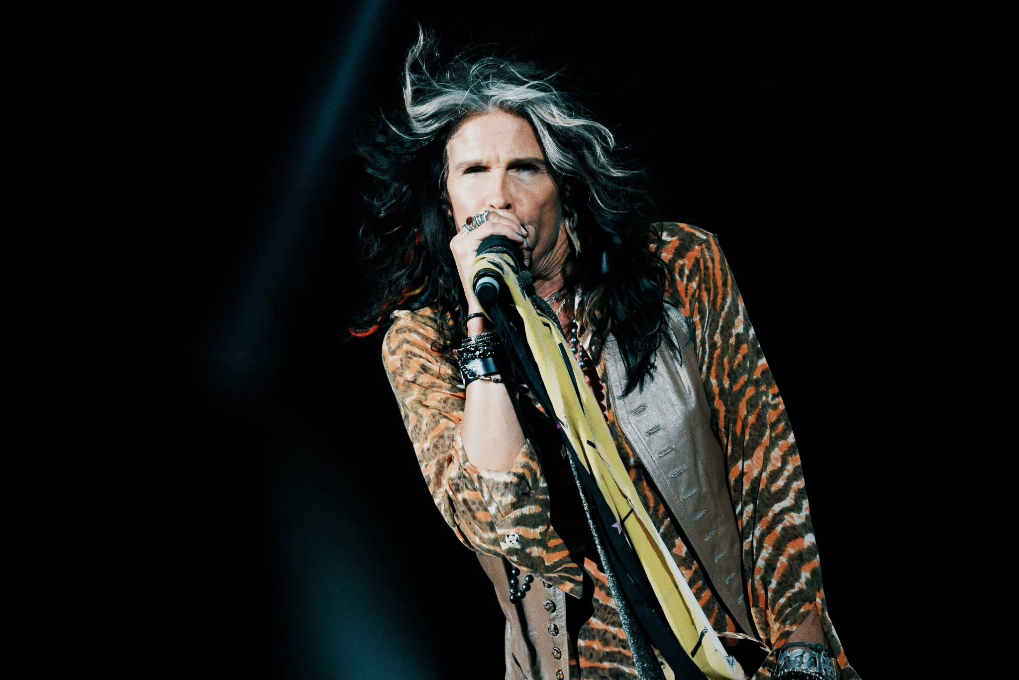 Steven Tyler, archive photograph 2