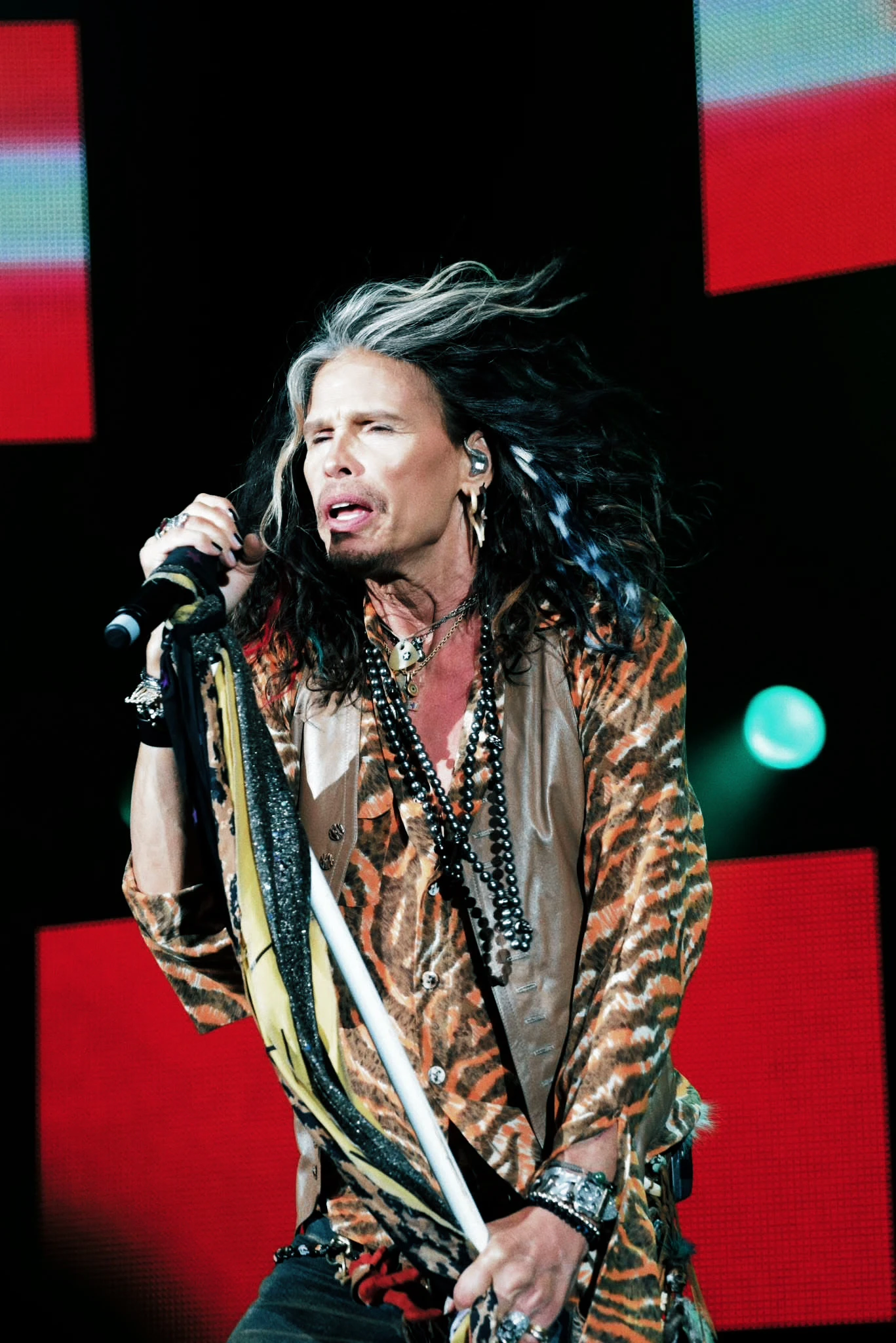 Steven Tyler, archive photograph 3
