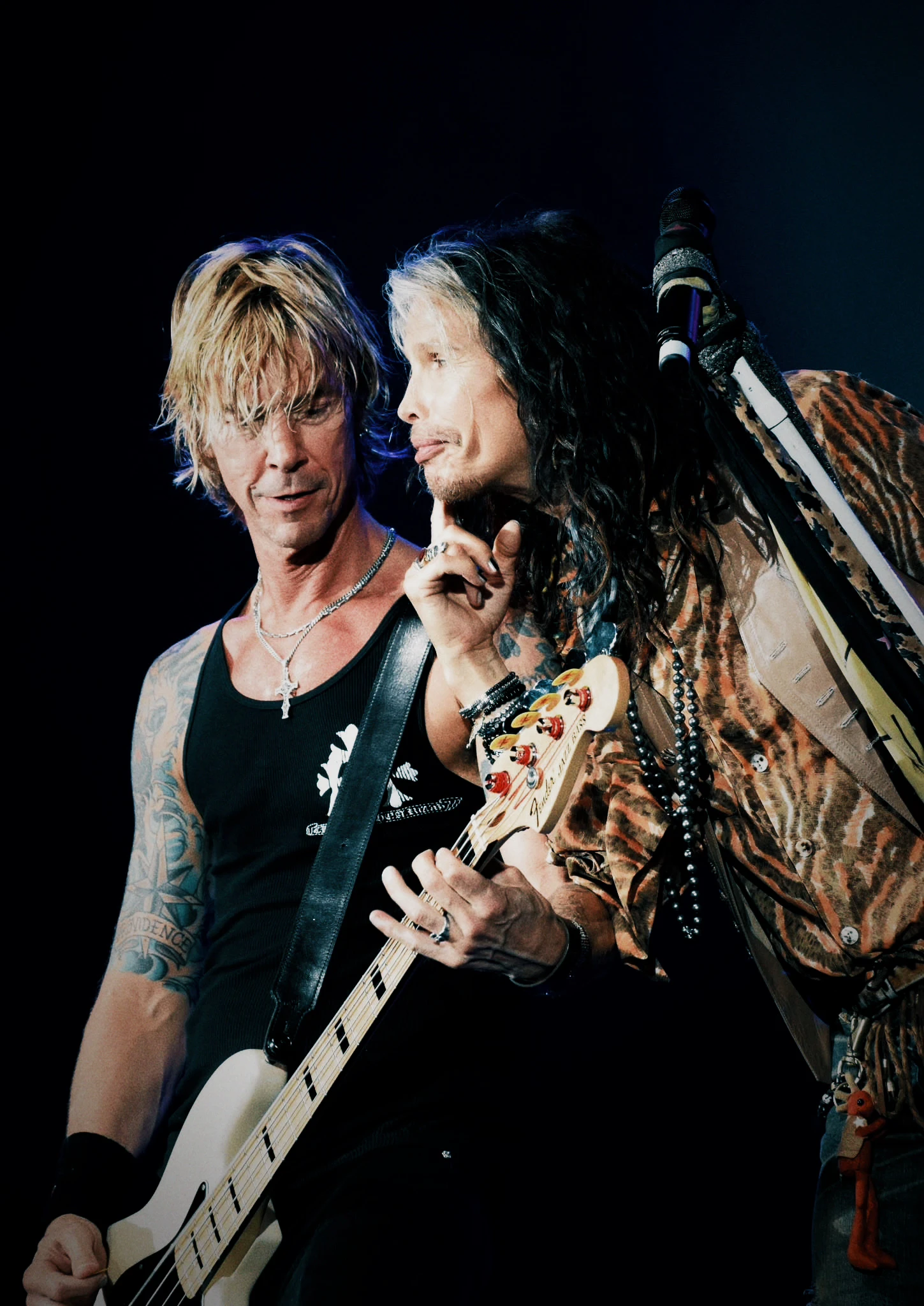 Steven Tyler, archive photograph 4
