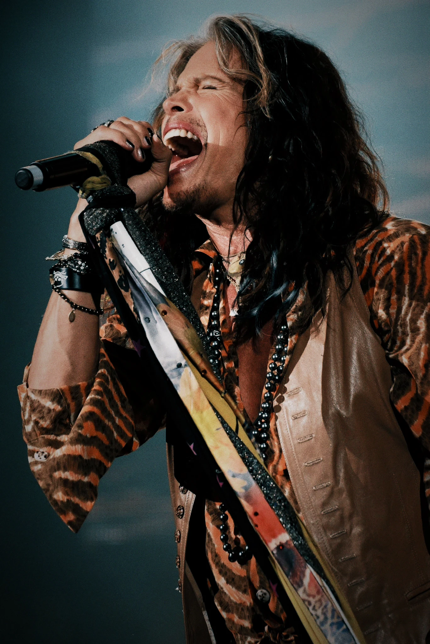 Steven Tyler, archive photograph 5