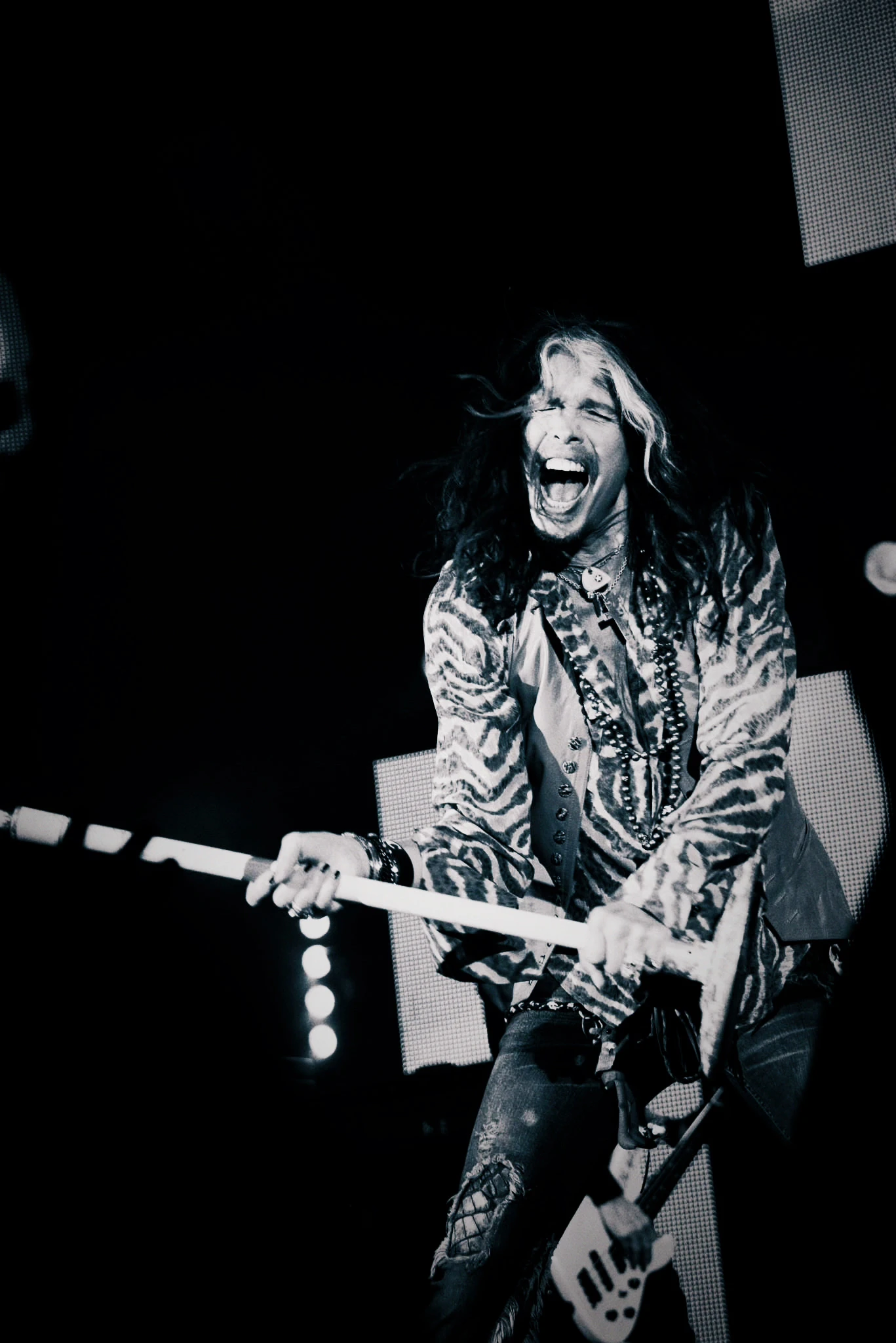 Steven Tyler, archive photograph 6