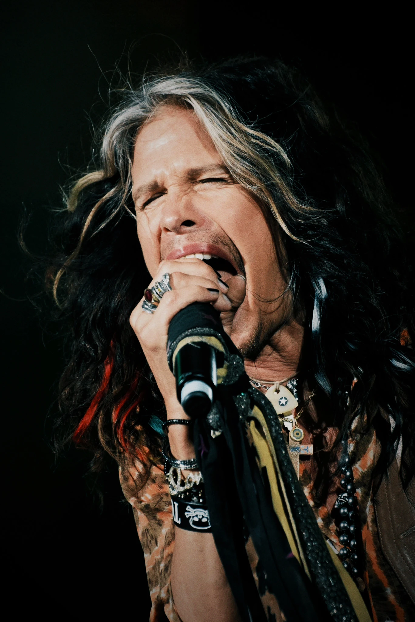 Steven Tyler performing live in 2015