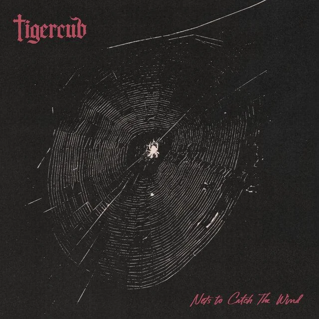 Tigercub — Nets to Catch the Wind album artwork